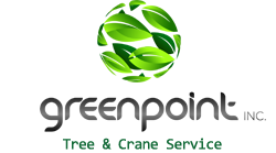 Greenpoint Crane Service